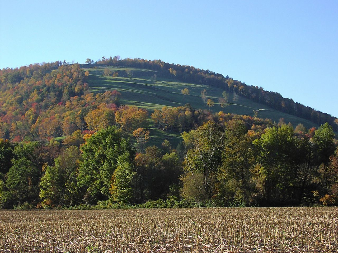 Climb to the top of the hill