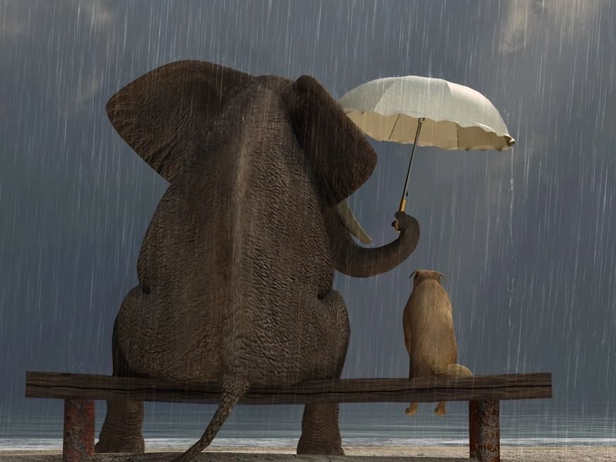 Kindness is The Unsung Hero of Effective Leadership